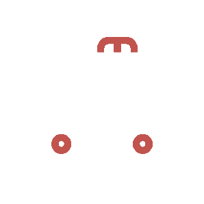emergency-icon